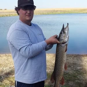 Meet your Posher, Brett